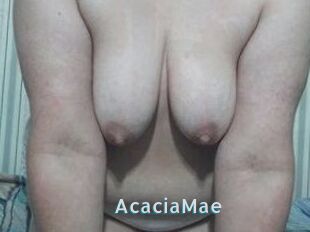 AcaciaMae