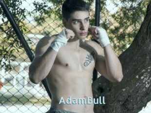 AdamBull