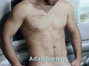 AdamBurning