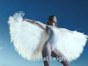 Aerial_Leigh