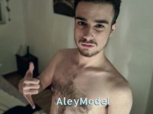 AleyModel