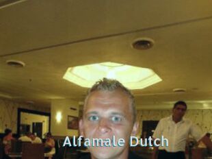 Alfamale_Dutch