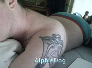 Alphie_Dog