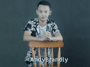 AndyBrandly