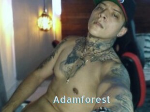 Adamforest