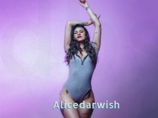 Alicedarwish