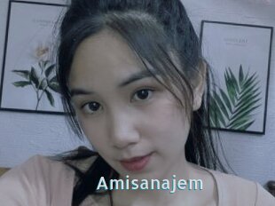 Amisanajem