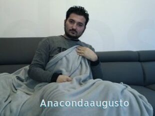 Anacondaaugusto