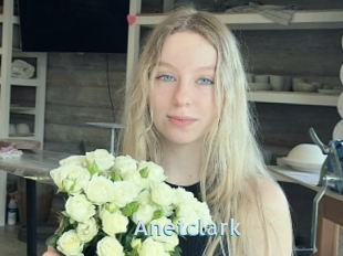 Anetclark