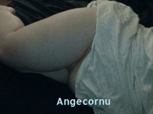 Angecornu