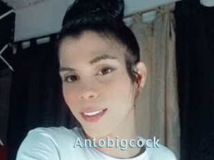 Antobigcock