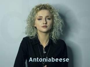 Antoniabeese