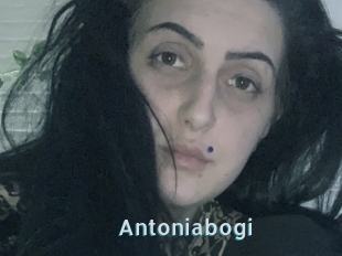 Antoniabogi