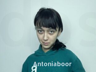 Antoniaboor