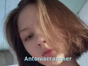 Antoniacrammer