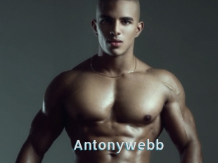 Antonywebb