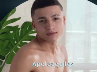 Apoloaquiles