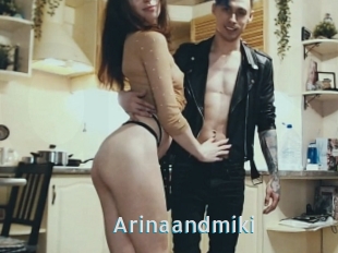 Arinaandmiki