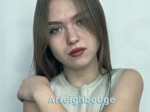 Arleighbodge