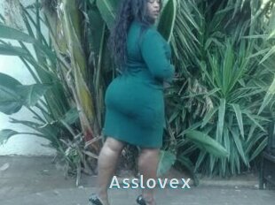 Asslovex