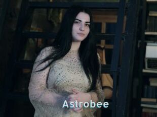 Astrobee