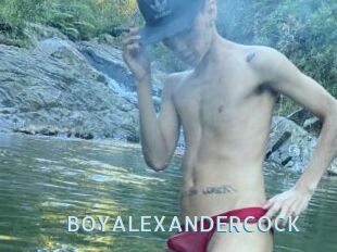 BOYALEXANDERCOCK