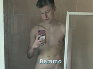 Bammo