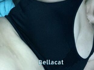 Bella_cat