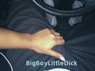 BigBoyLittleDick