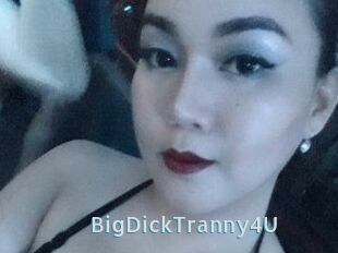 BigDickTranny4U