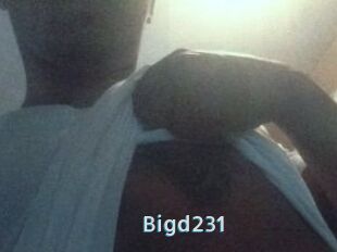 Bigd231