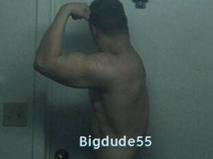 Bigdude55