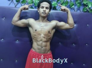 BlackBodyX