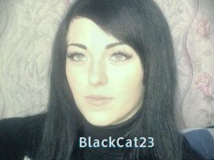 BlackCat23