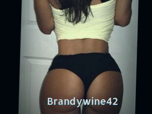 Brandywine42