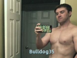 Bulldog35