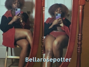 Bellarosepotter