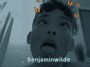 Benjaminwilde