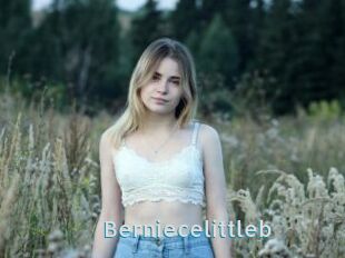 Berniecelittleb