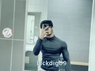 Bickdig69