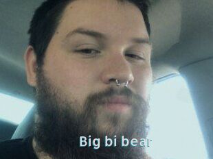 Big_bi_bear