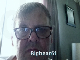 Bigbear61