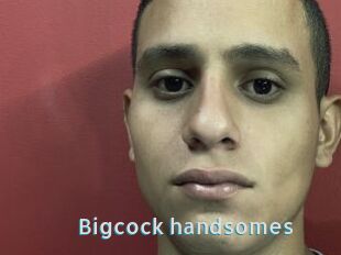 Bigcock_handsomes