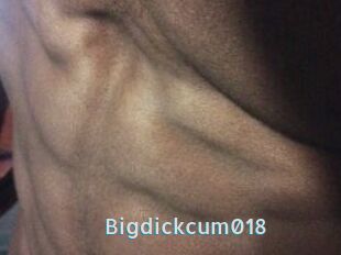 Bigdickcum018