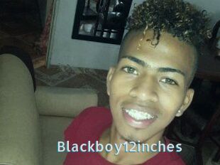 Blackboy12inches