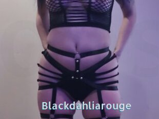 Blackdahliarouge