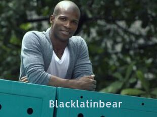 Blacklatinbear