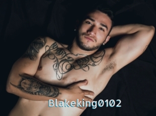 Blakeking0102