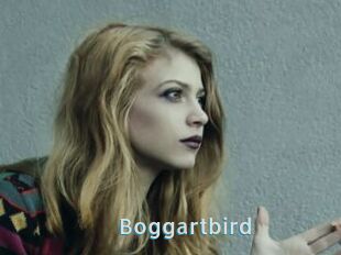 Boggartbird