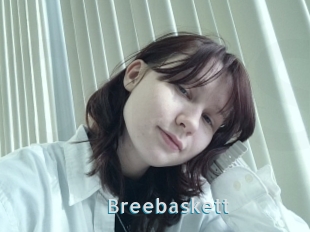 Breebaskett